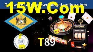 Premium Interface T89